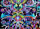 Holograms